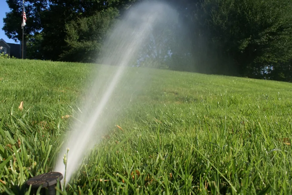 Trusted landscaping services in St. Louis, MO - Horstmann Brothers