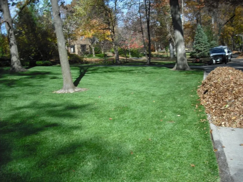 Reliable lawn mowing service for year-round maintenance in St. Louis, MO by Horstmann Brothers