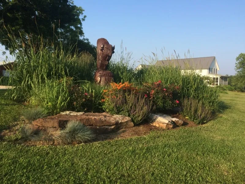 Expert landscaping services in St. Louis, MO - Horstmann Brothers