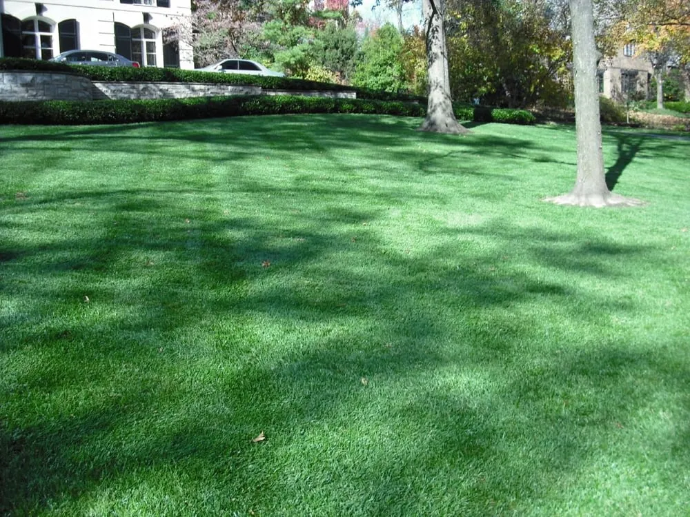 Expert landscaping services in St. Louis, MO - Horstmann Brothers