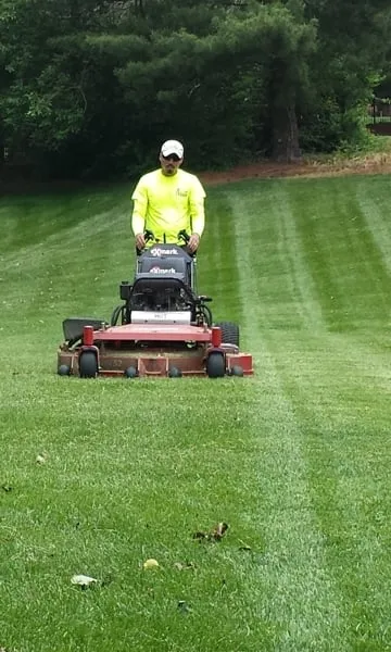 Top-rated garden landscaping in St. Louis, MO by Horstmann Brothers