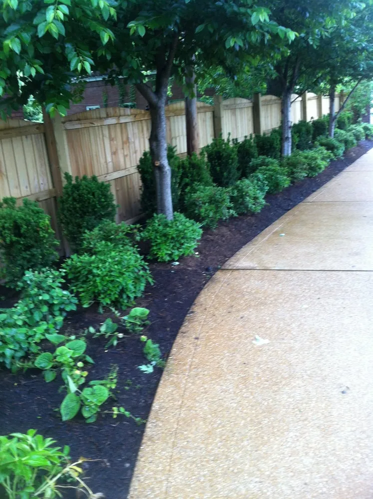 Local outdoor landscaping for year-round maintenance in St. Louis, MO by Horstmann Brothers