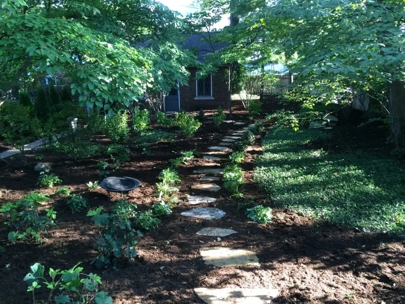 Expert outdoor landscaping in St. Louis, MO - Horstmann Brothers