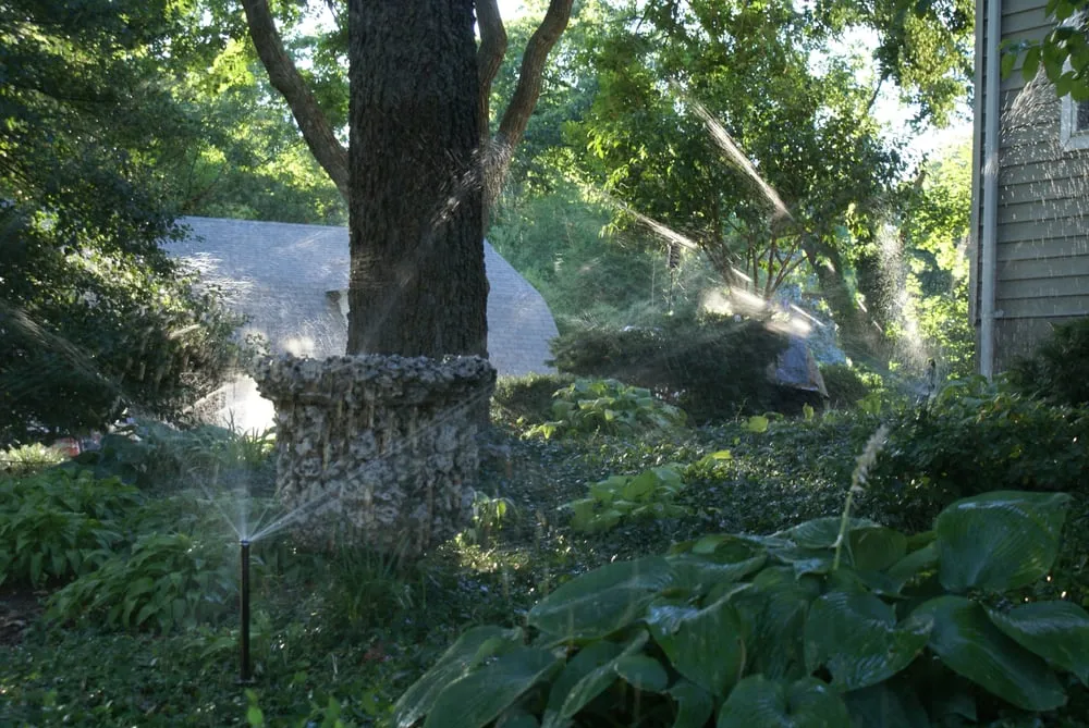 Trusted yard cleanup service for homes across St. Louis, MO - Horstmann Brothers
