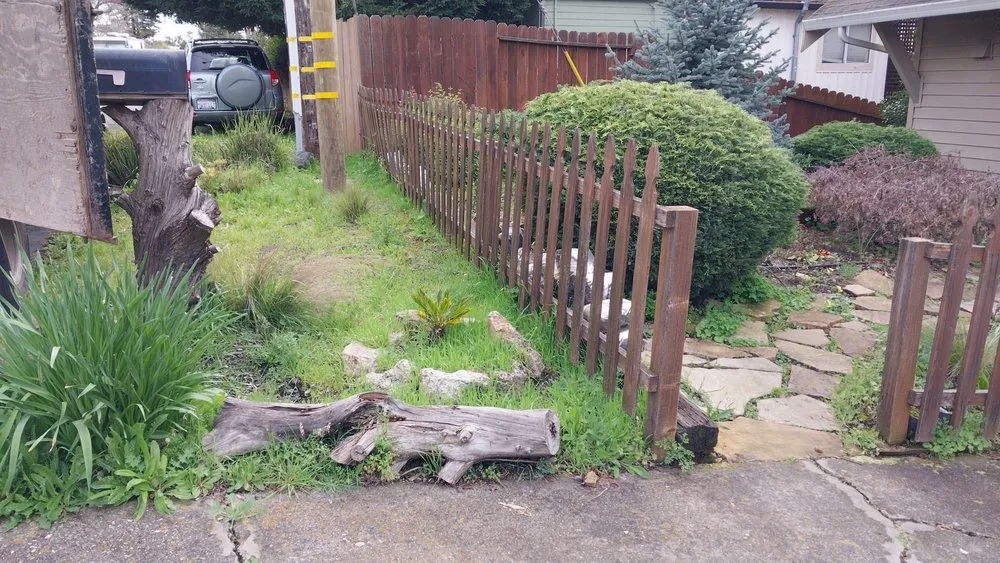 Custom lawn care service in Richmond, CA - Hortencia's Landscaping