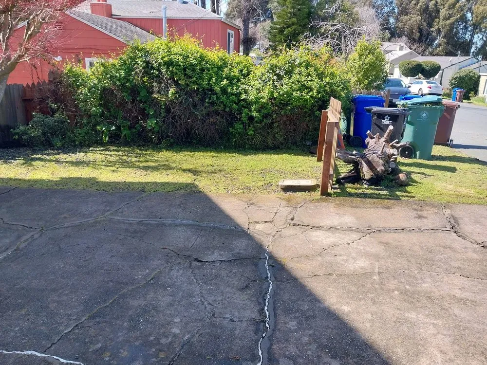 Professional yard maintenance for residential properties in Richmond, CA by Hortencia's Landscaping