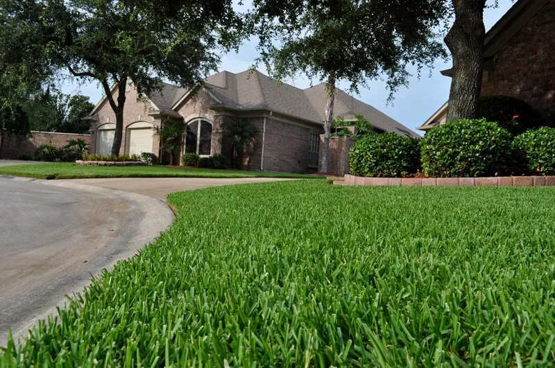 Local garden landscaping experts serving Alvin, TX - Horticare Landscape Management