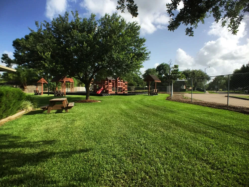 Affordable yard cleanup service for beautiful yards in Alvin, TX by Horticare Landscape Management
