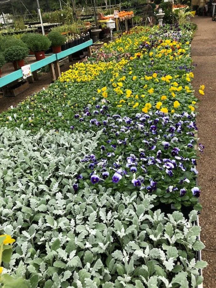 Local lawn care service for homes in Little Rock, AR by Horticare Landscape Management