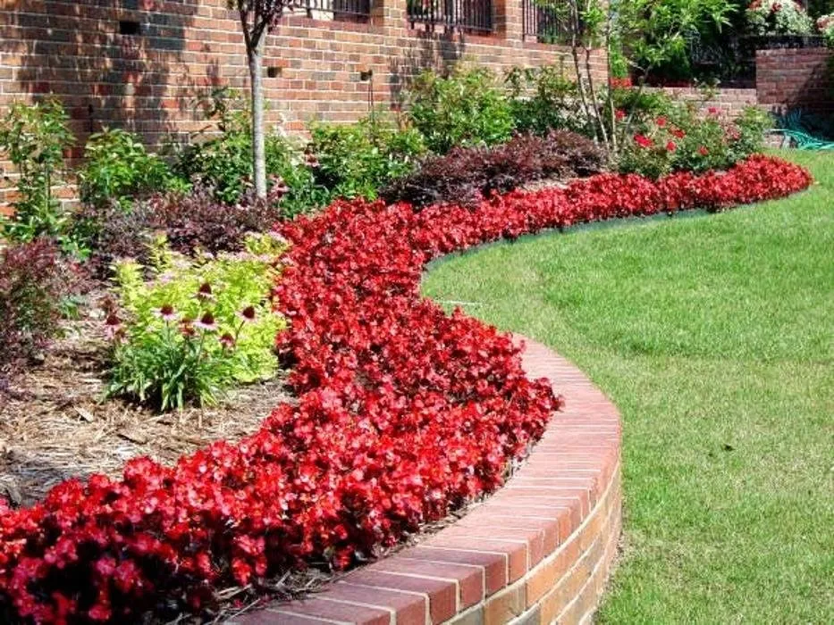 Reliable landscaping services for beautiful yards in Little Rock, AR by Horticare Landscape Management