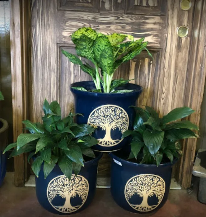 Trusted lawn mowing service experts serving Little Rock, AR - Horticare Landscape Management