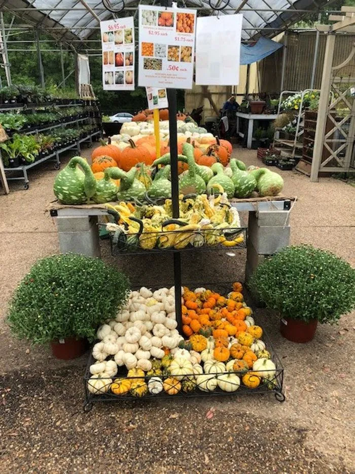 Expert garden landscaping experts serving Little Rock, AR - Horticare Landscape Management