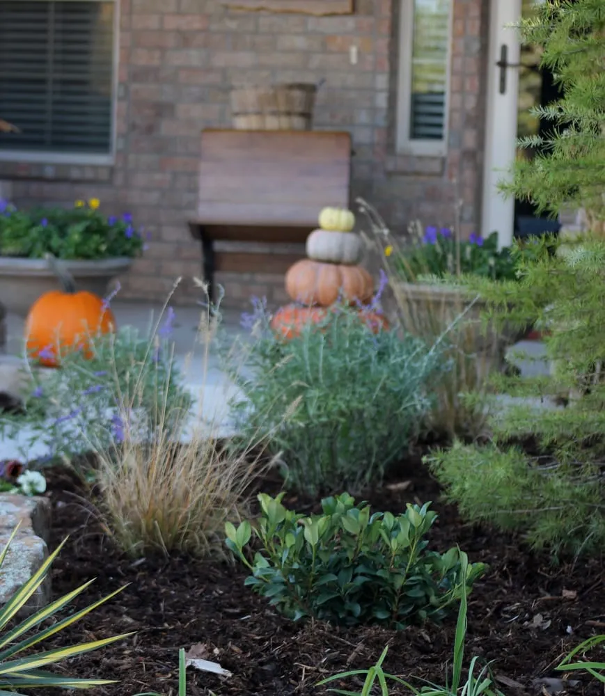 Top-rated lawn care service for residential properties in Tuttle, OK by Hortico