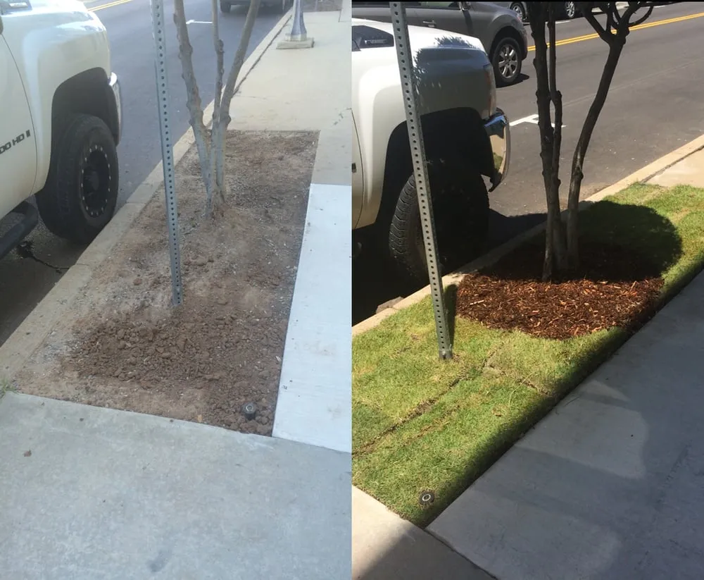 Professional lawn care service with custom design across Tuttle, OK - Hortico