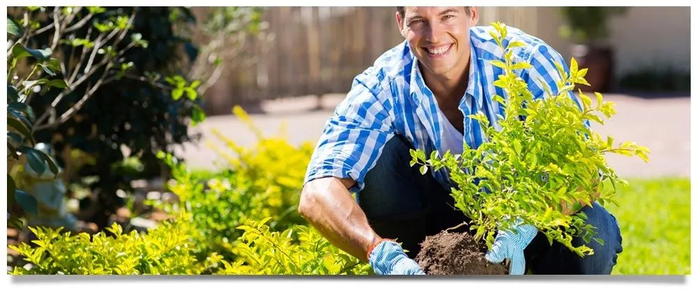 Expert landscape design experts serving Sarasota, FL - Horticultural Alliance