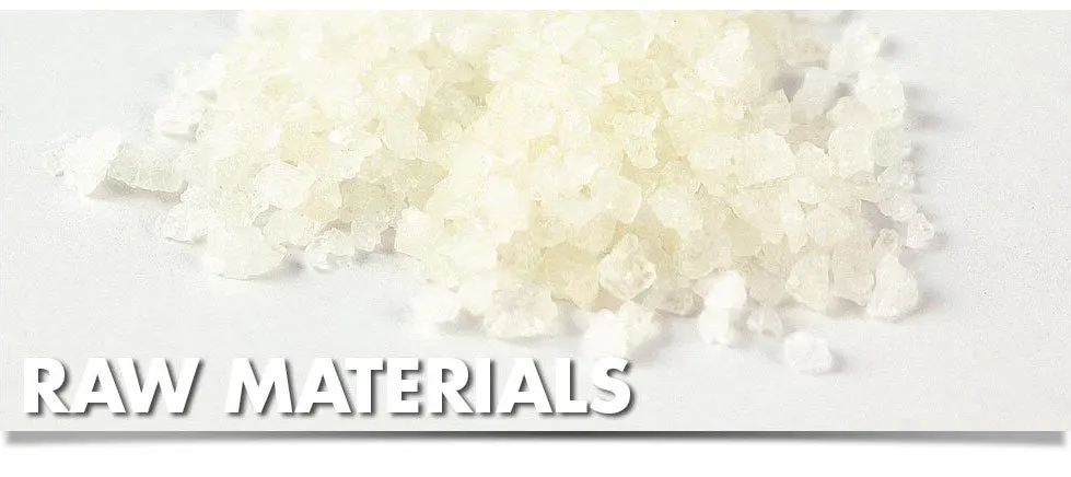 Top-rated garden landscaping with custom design across Sarasota, FL - Horticultural Alliance