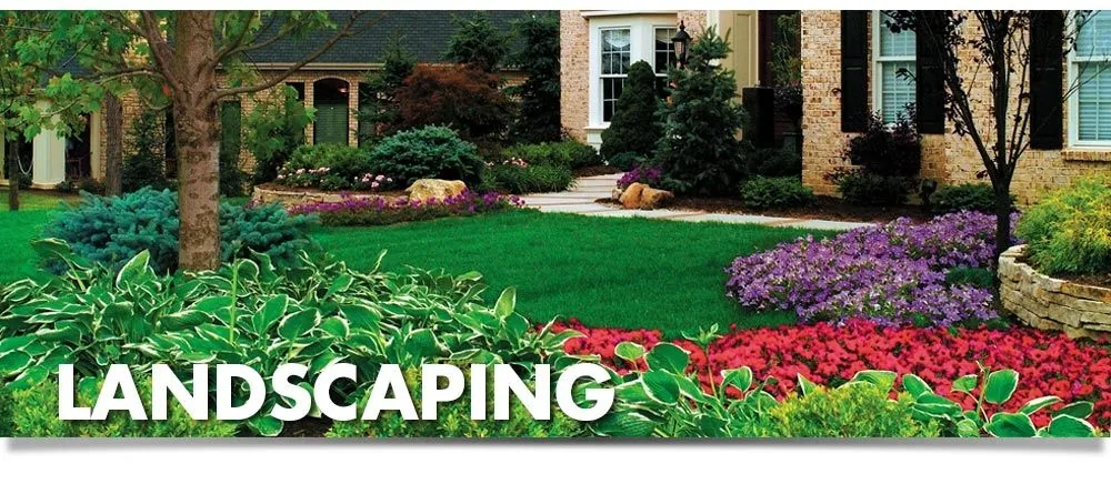 Custom outdoor landscaping experts serving Sarasota, FL - Horticultural Alliance