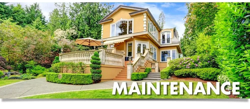 Reliable yard cleanup service with custom design across Sarasota, FL - Horticultural Alliance