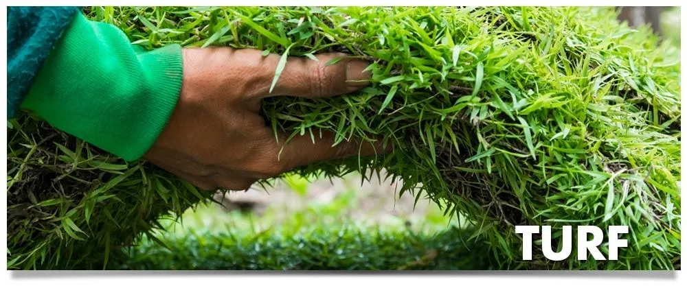 Reliable landscape installation in Sarasota, FL - Horticultural Alliance