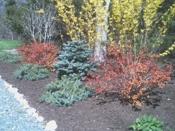 Trusted outdoor landscaping in Hyannis, MA by Horticultural Dna, Inc