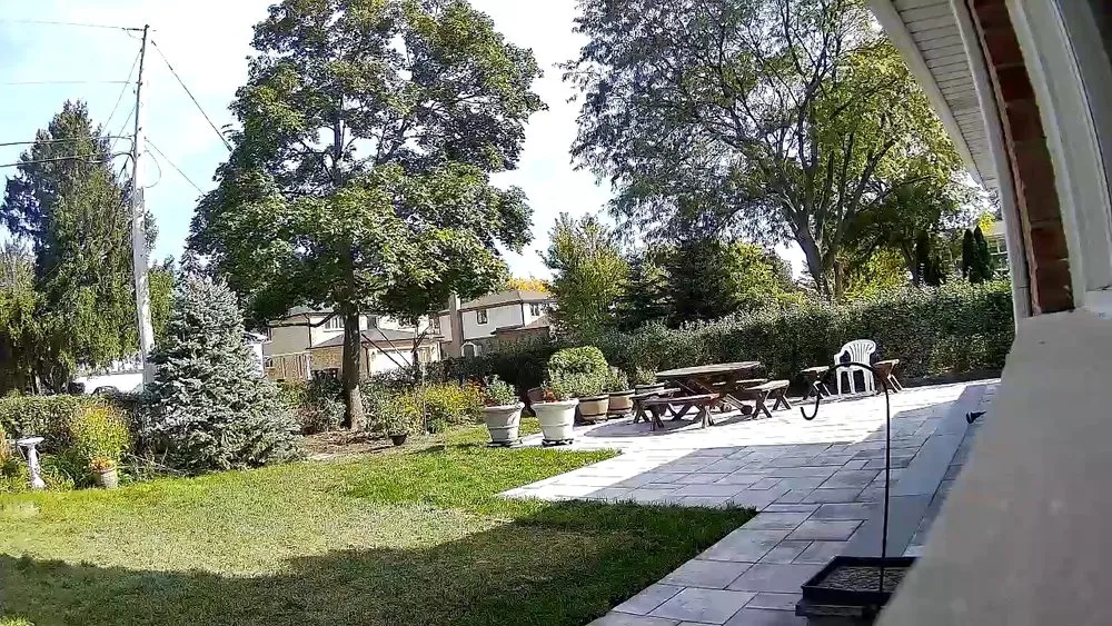 Custom landscaping services in Glenview, IL by Horticultural Services