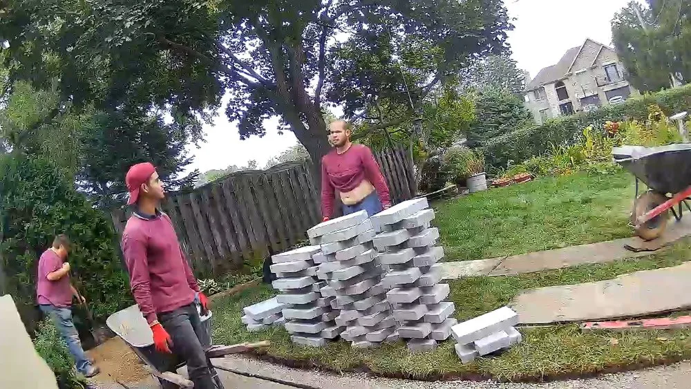 Affordable lawn care service for beautiful yards in Glenview, IL by Horticultural Services