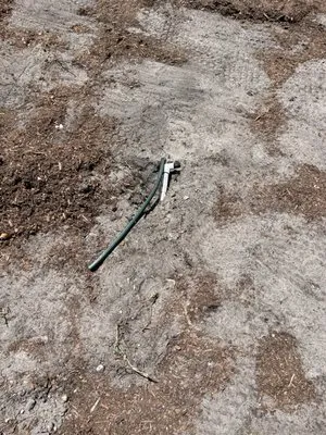 Horticultural Services of South Florida Logo