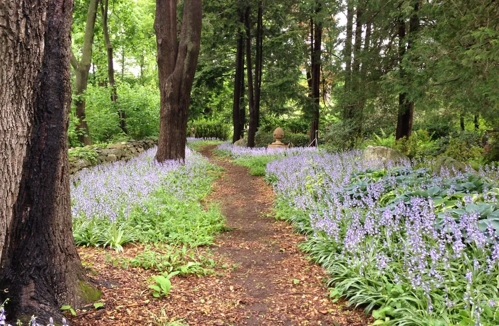 Trusted landscape installation experts serving Bedford Hills, NY - Horticultural Solutions