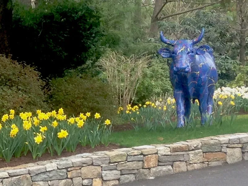 Trusted landscape design for outdoor upgrades in Bedford Hills, NY by Horticultural Solutions