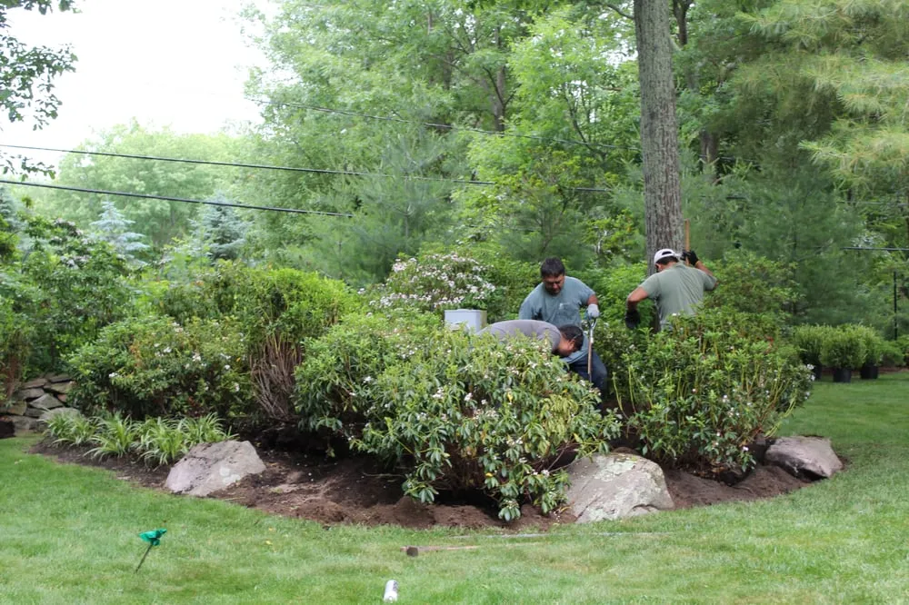 Reliable residential landscaping experts serving Bedford Hills, NY - Horticultural Solutions