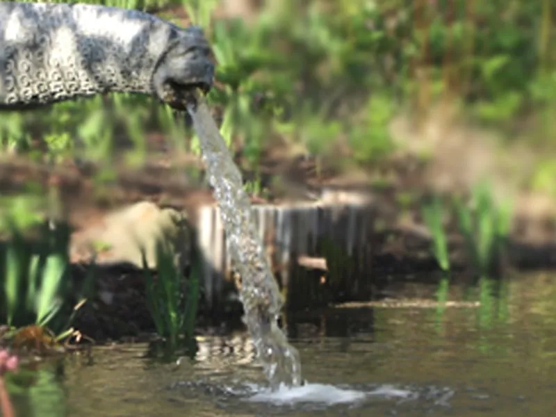 Local yard cleanup service in Bedford Hills, NY by Horticultural Solutions