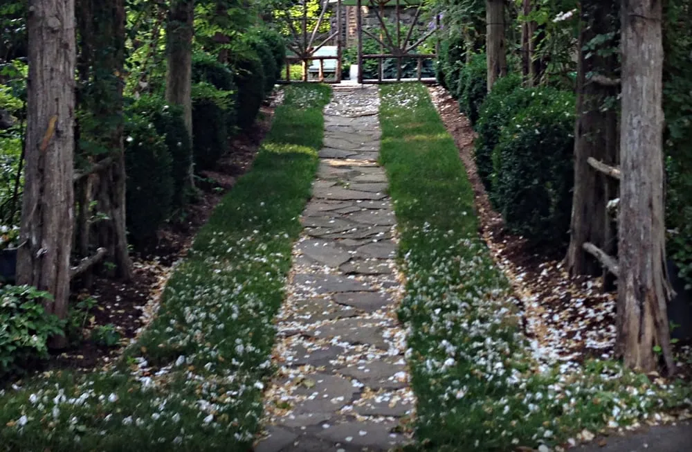 Local lawn mowing service experts serving Bedford Hills, NY - Horticultural Solutions