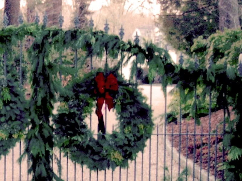 Custom landscape installation in Bedford Hills, NY by Horticultural Solutions