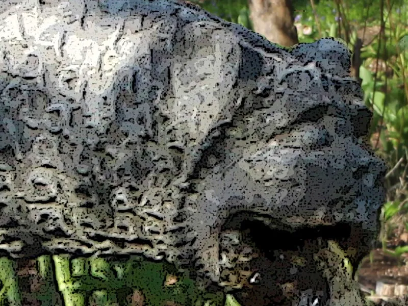 Top-rated lawn mowing service for beautiful yards across Bedford Hills, NY - Horticultural Solutions