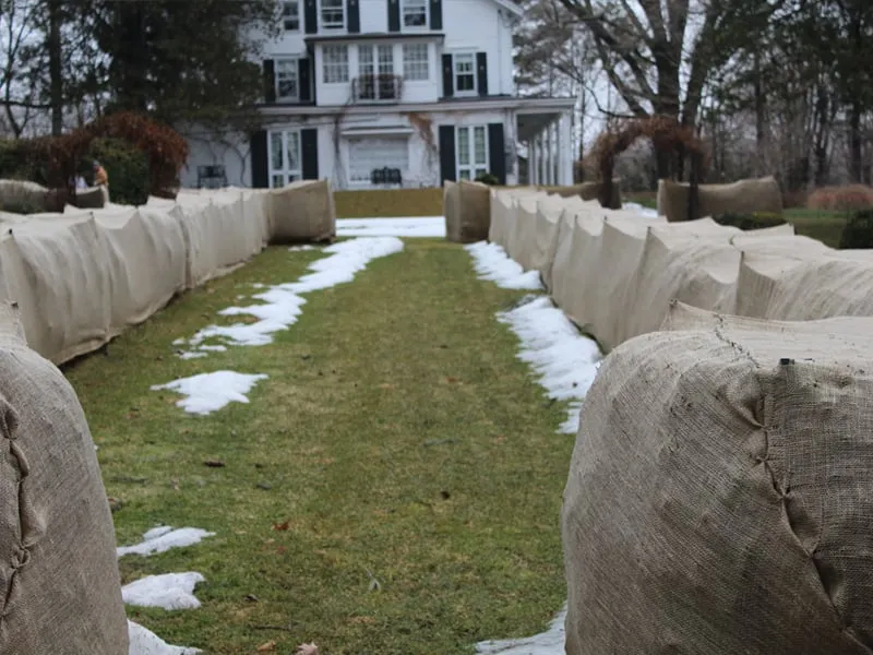 Trusted yard maintenance experts serving Bedford Hills, NY - Horticultural Solutions