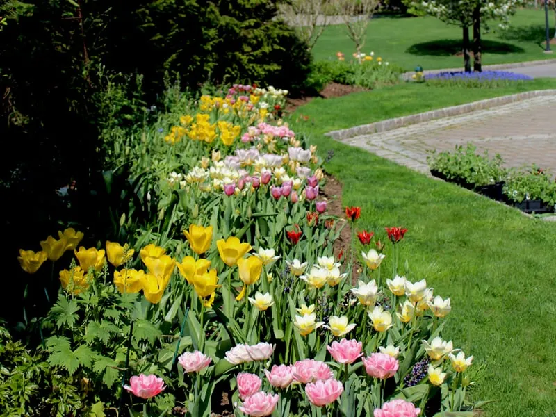 Top-rated landscape design in Bedford Hills, NY - Horticultural Solutions