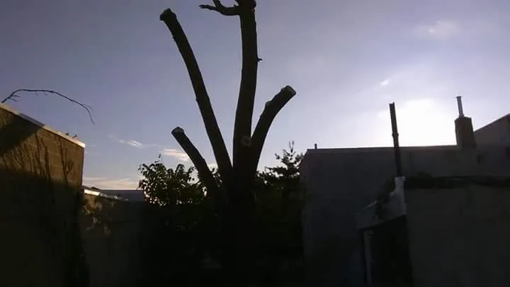 Reliable landscape design experts serving Philadelphia, PA - Horticulture Masterpiece