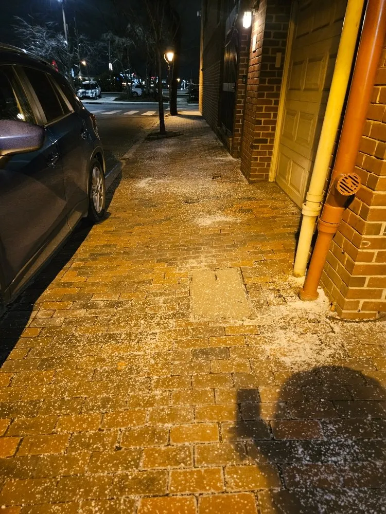 Reliable yard maintenance for year-round maintenance in Philadelphia, PA by Horticulture Masterpiece