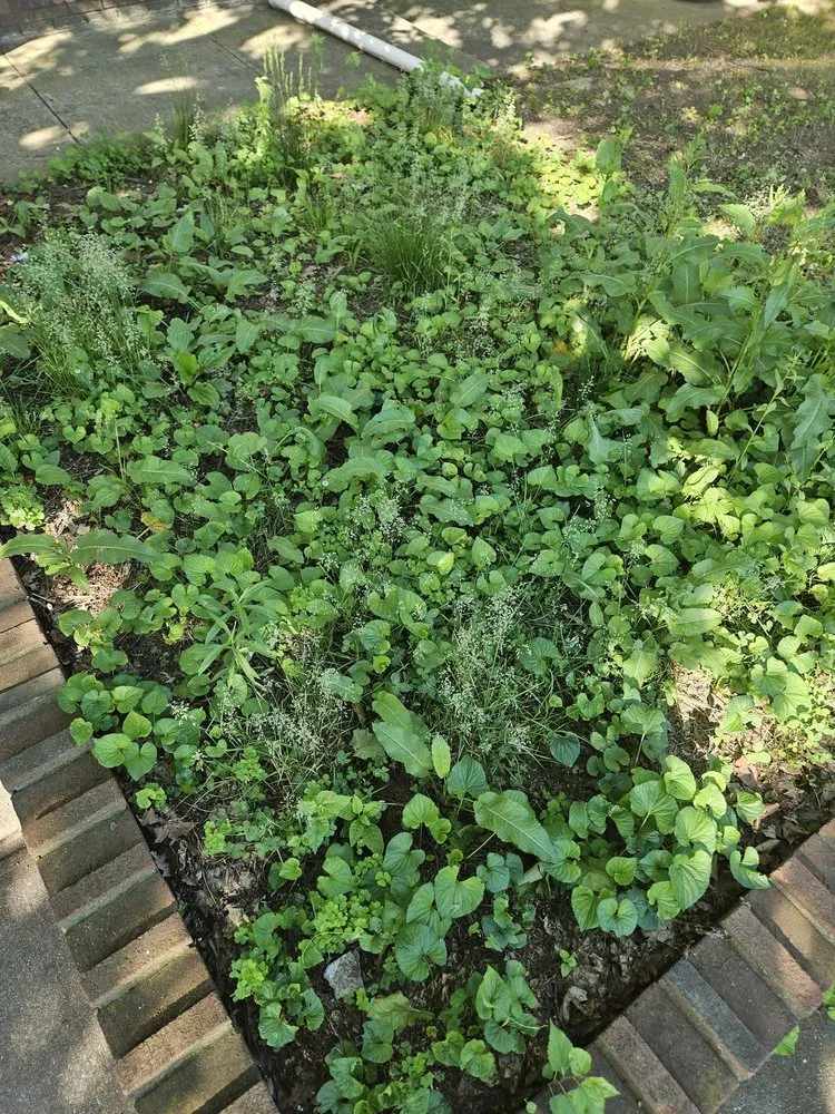 Trusted outdoor landscaping experts serving Philadelphia, PA - Horticulture Masterpiece