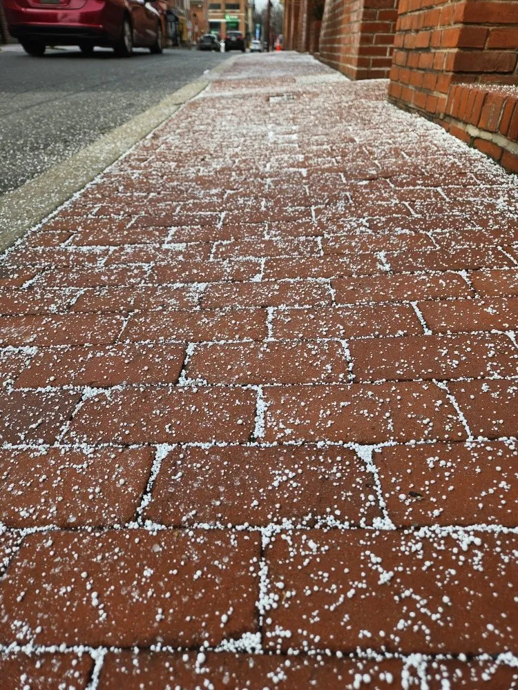 Affordable yard cleanup service experts serving Philadelphia, PA - Horticulture Masterpiece