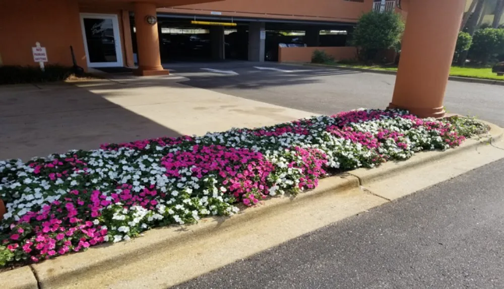 Professional yard maintenance experts serving Fort Walton Beach, FL - Horticulture Services Group