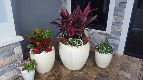 Affordable yard maintenance for year-round maintenance across Fort Walton Beach, FL - Horticulture Services Group