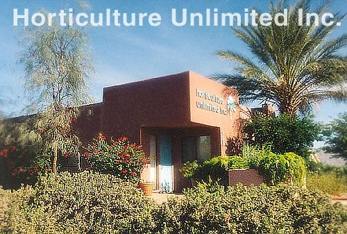 Trusted landscaping services for year-round maintenance in Tucson, AZ by Horticulture Unlimited