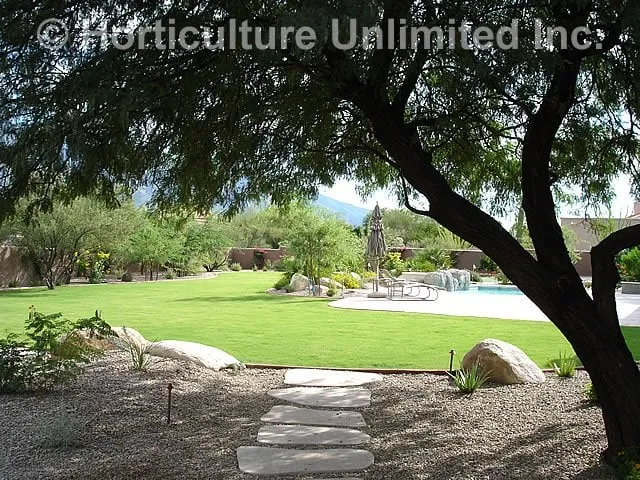 Top-rated landscape design in Tucson, AZ - Horticulture Unlimited