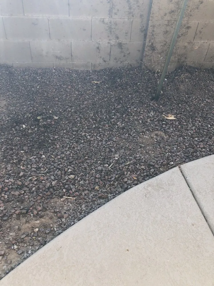 Custom landscaping services for homes in Tucson, AZ by Horticulture Unlimited