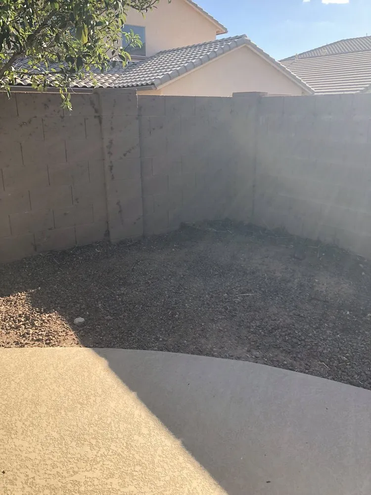 Reliable yard maintenance experts serving Tucson, AZ - Horticulture Unlimited