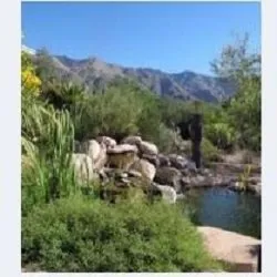 Top-rated yard cleanup service in Tucson, AZ - Horticulture Unlimited