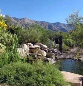 Local residential landscaping in Tucson, AZ by Horticulture Unlimited