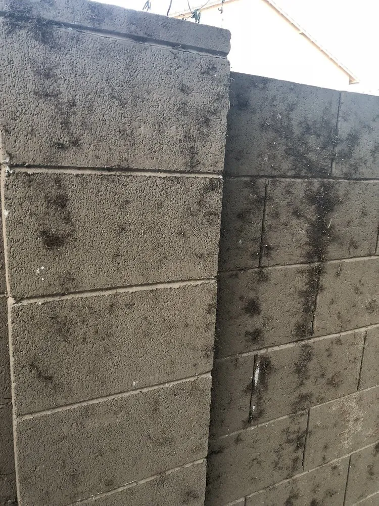 Expert lawn mowing service experts serving Tucson, AZ - Horticulture Unlimited