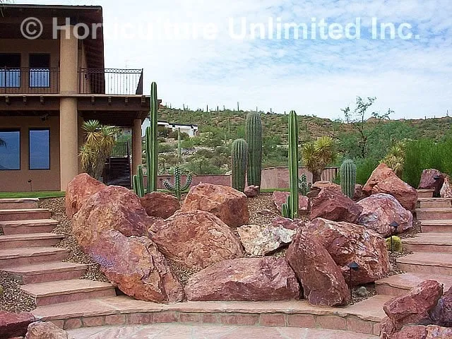 Affordable landscape design in Tucson, AZ by Horticulture Unlimited